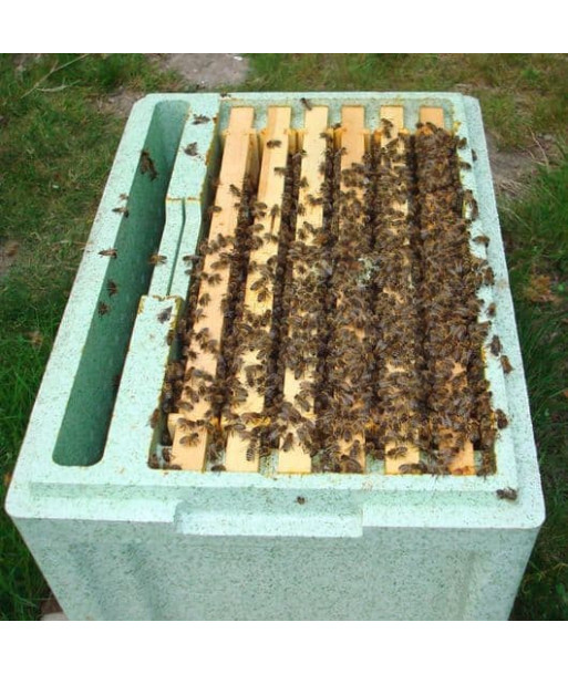 Nucleus of Bees (deposit)